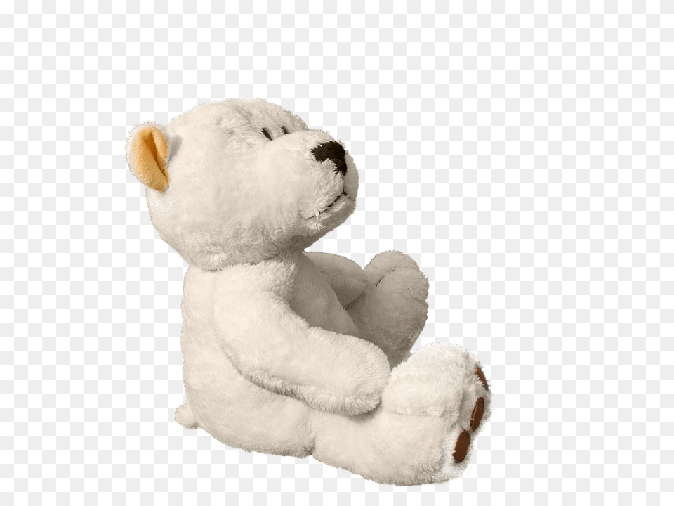 Teddy Bear, Toy, Teddy Bear, Plush Png