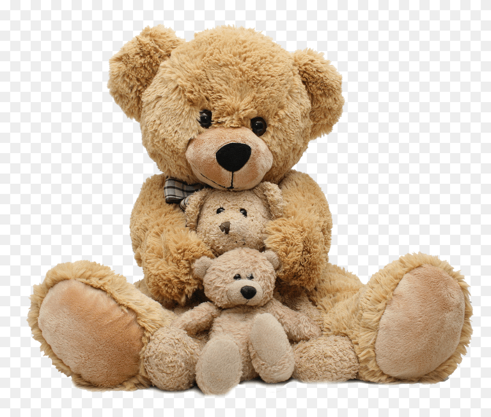 Teddy Bear, Teddy Bear, Toy Free Transparent Png