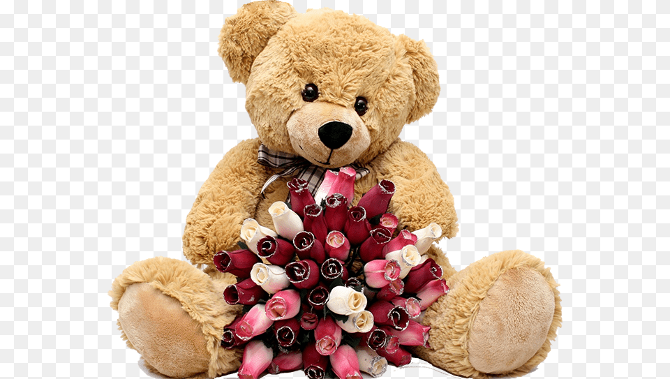 Teddy Bear, Teddy Bear, Toy Free Transparent Png