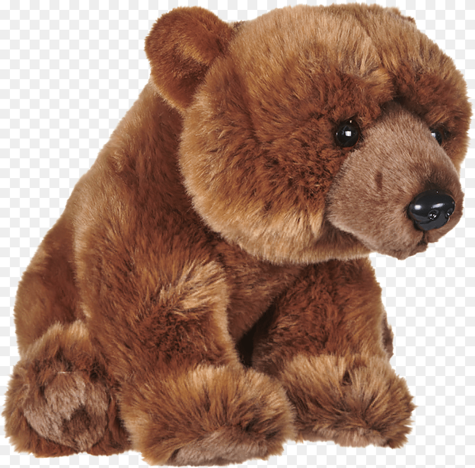 Teddy Bear, Animal, Mammal, Wildlife, Brown Bear Png Image