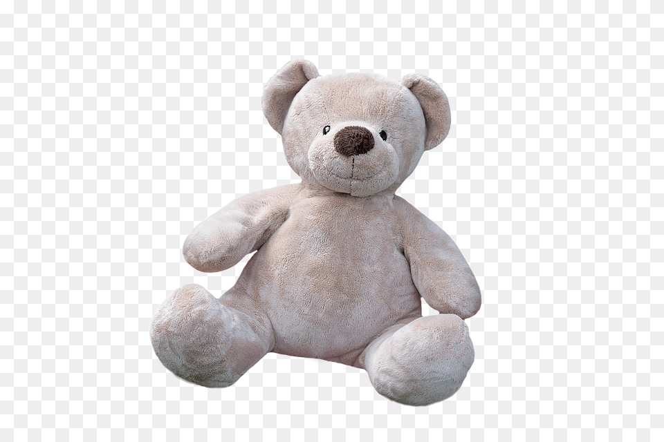 Teddy Bear, Teddy Bear, Toy, Plush Free Png