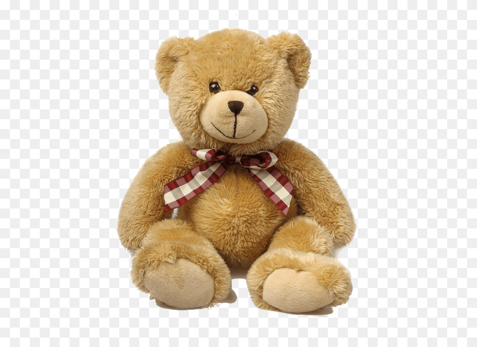 Teddy Bear, Teddy Bear, Toy, Accessories, Formal Wear Free Png