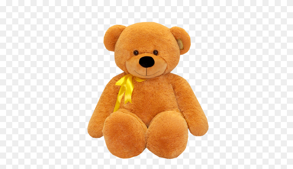 Teddy Bear, Teddy Bear, Toy, Plush Free Png