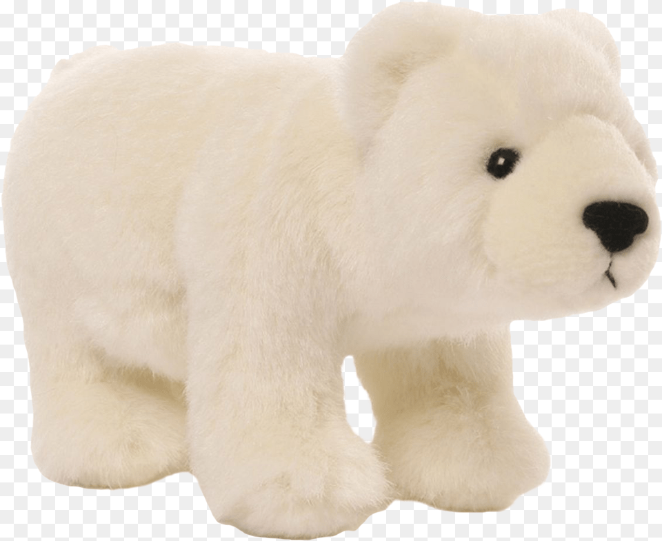 Teddy Bear, Animal, Mammal, Wildlife, Polar Bear Png