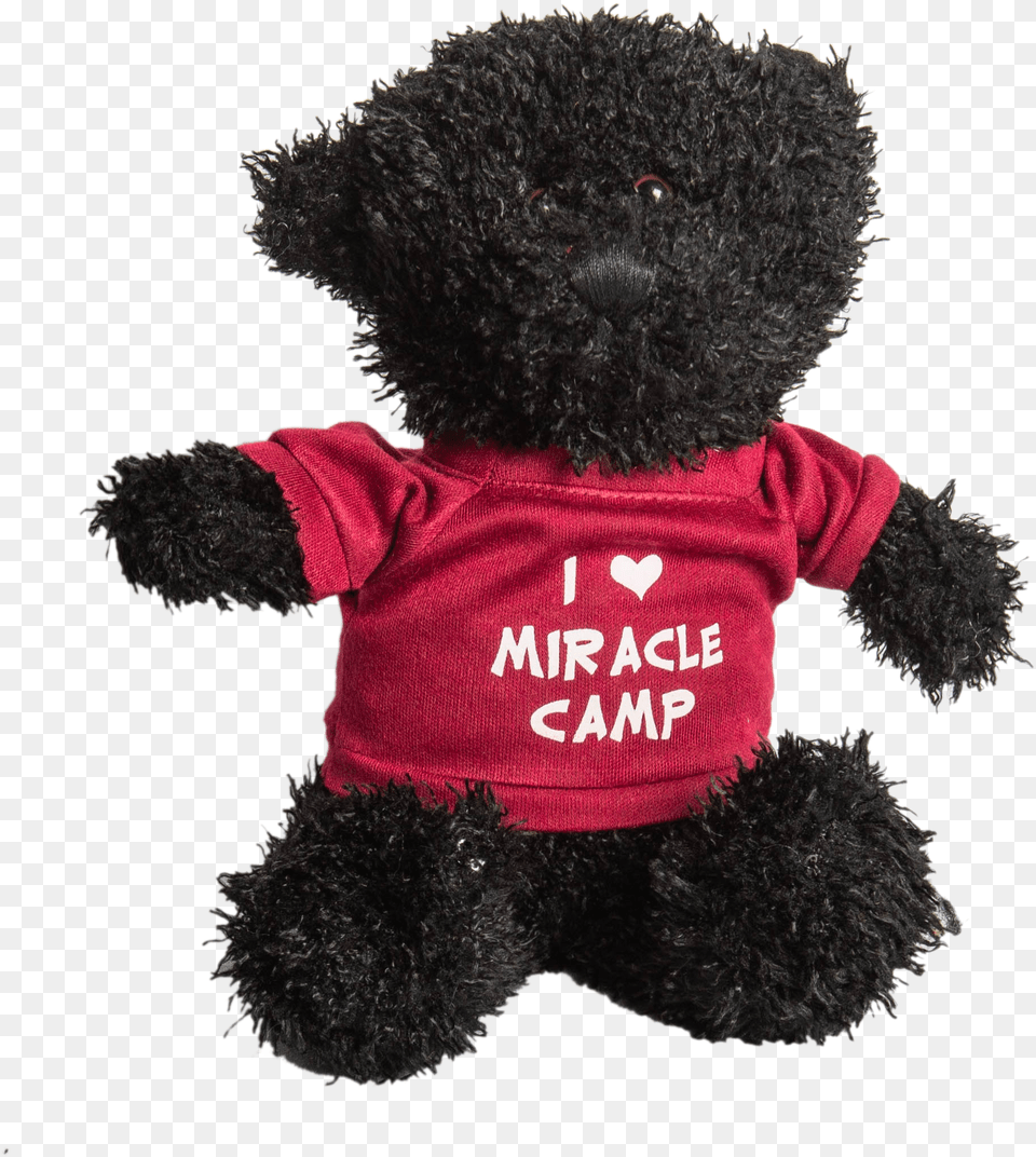 Teddy Bear, Toy, Teddy Bear Free Png Download