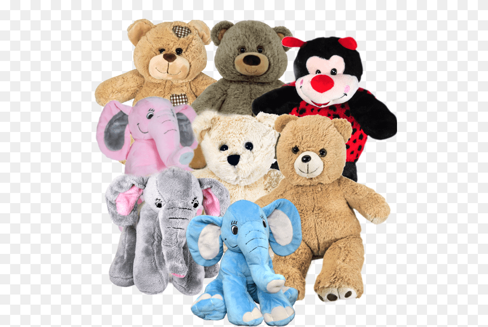 Teddy Bear Group, Plush, Toy, Teddy Bear, Animal Free Png