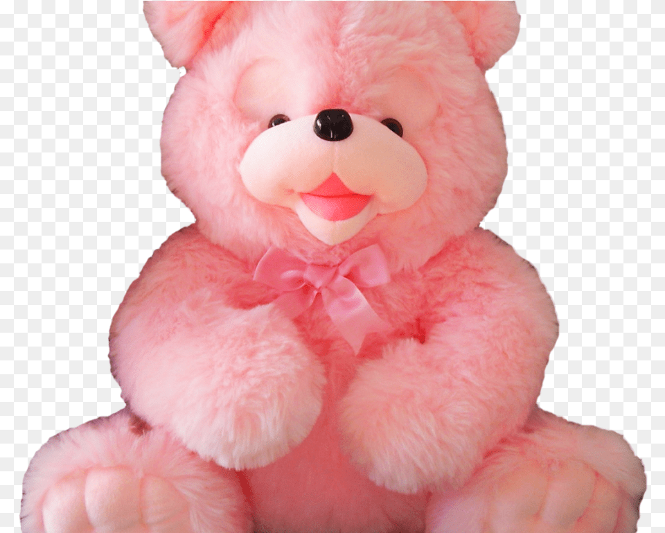 Teddy Bear Teddy Bear Pink, Teddy Bear, Toy Png Image