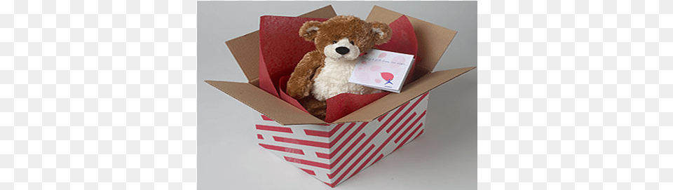 Teddy Bear In A Box, Teddy Bear, Toy, Cardboard, Carton Png