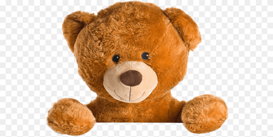 Teddy Bear With No Background, Teddy Bear, Toy, Plush Png Image
