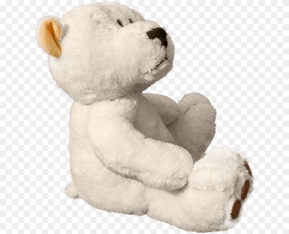 Teddy Teddy Bear Bear Soft Toy Sweet Cute White Teddy Bear, Teddy Bear, Plush Free Transparent Png