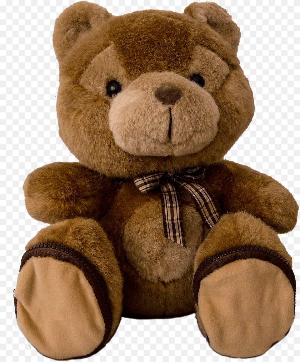 Teddy Teddy Bear Soft Toy Stuffed Animal Toys Oso Teddy, Teddy Bear Free Transparent Png