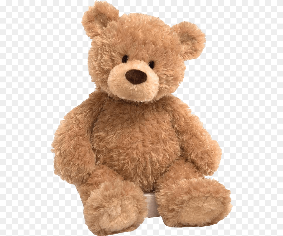 Teddy Z Teddy Bear In, Teddy Bear, Toy Png Image