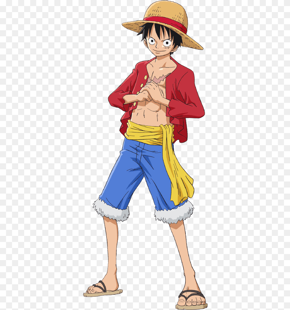 Tee Brown Monkey D Luffy Full Body, Book, Publication, Comics, Adult Png Image