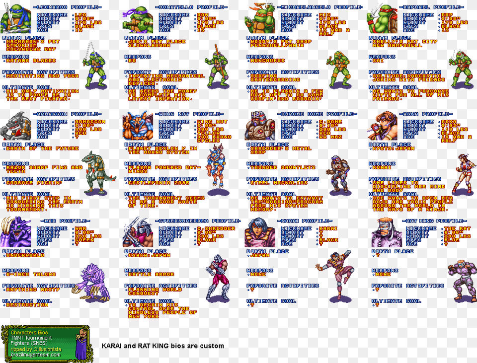 Teenage Mutant Ninja Turtles Tournament Fighters All, Person, Text Png Image