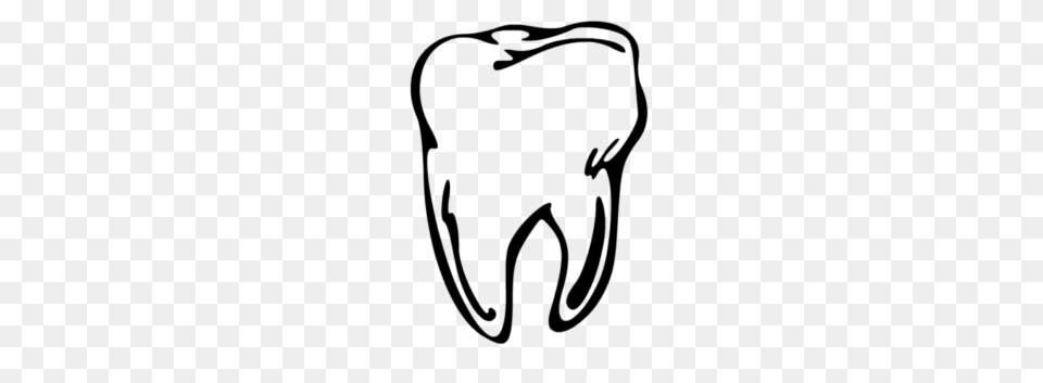 Teeth Clipart Molar, Gray Free Transparent Png