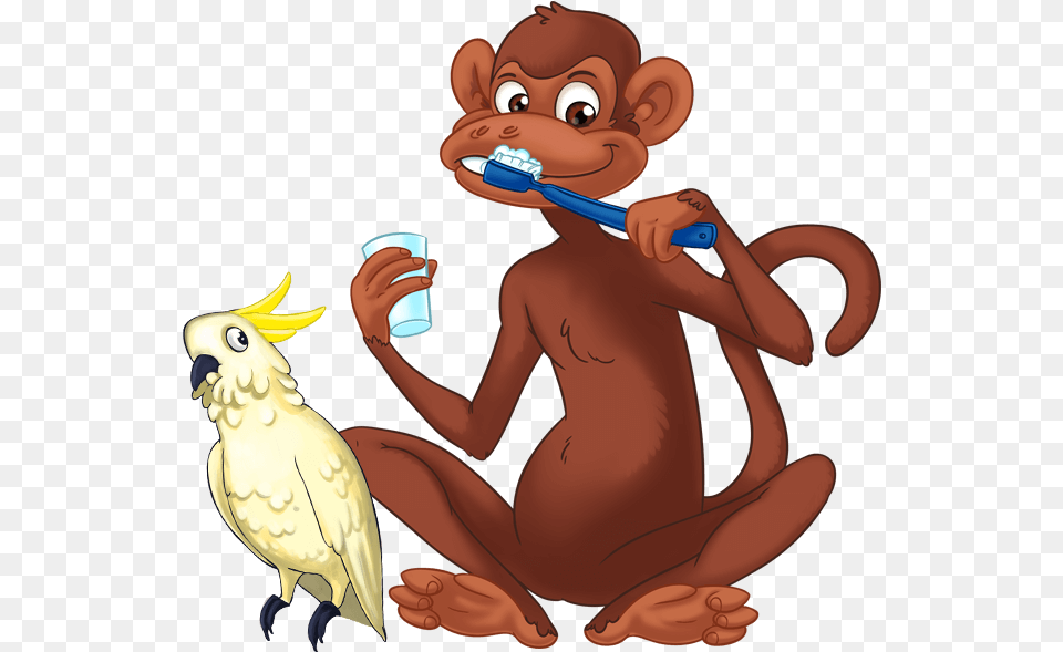 Teeth Clipart Monkey Cartoon, Animal, Bird, Baby, Person Png