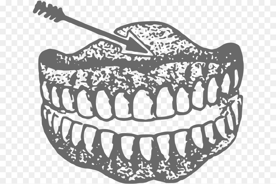 Teeth Drawing Transparent Clipart Denture Clipart Black In White, Body Part, Mouth, Person, Brush Free Png Download