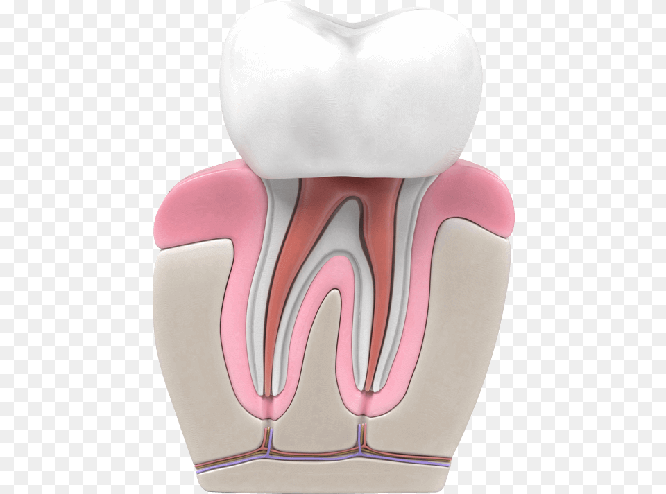 Teeth Grill Imagenes Animadas De Endodoncia, Cushion, Home Decor, Head, Person Free Png Download