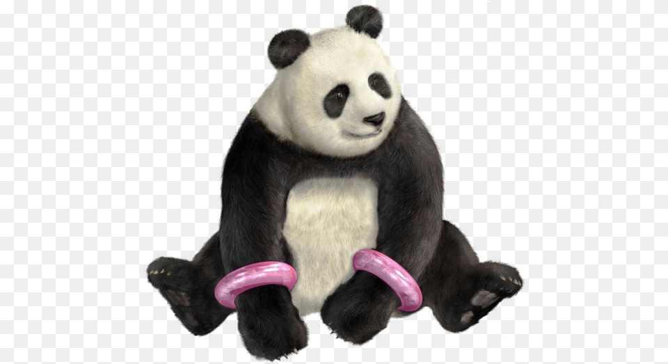 Tekken Panda Background Tekken 5 Panda, Animal, Bear, Giant Panda, Mammal Free Transparent Png