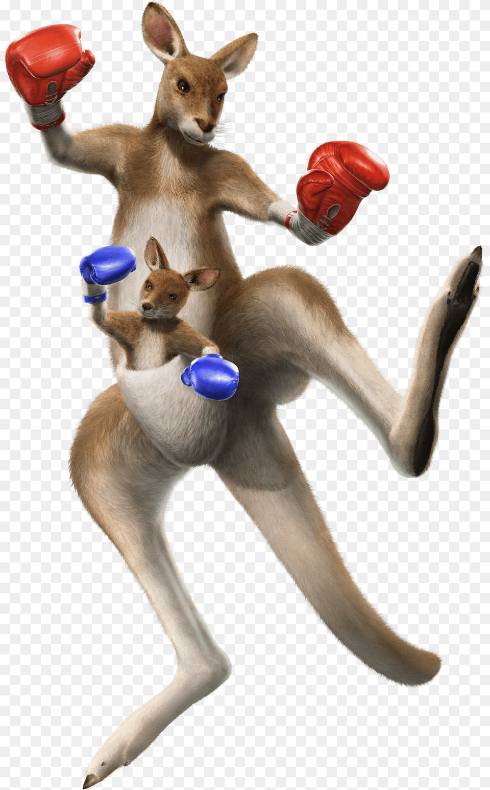 Tekken Tag Tournament 2 Roger, Clothing, Glove, Animal, Kangaroo Png Image