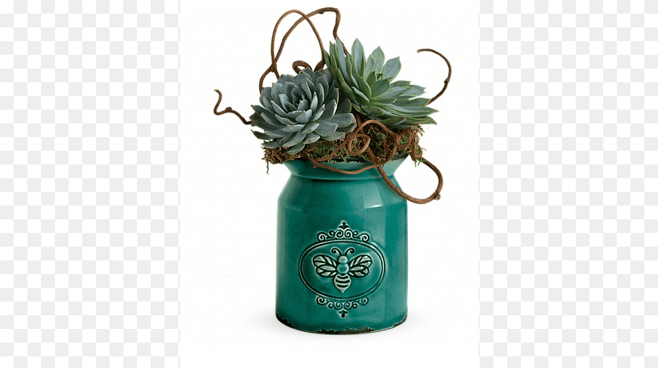 Telefloras Living Love Garden Fascination Flowers, Jar, Plant, Planter, Potted Plant Free Transparent Png