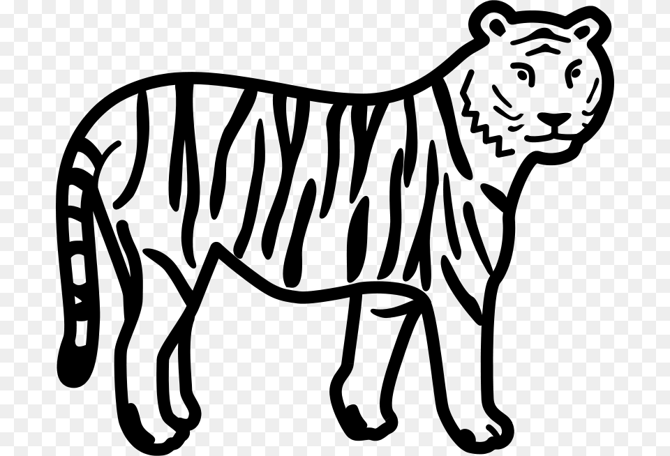 Telemachos Tiger 4x B W, Gray Free Transparent Png