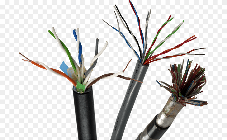 Telephone Cables, Wiring, Wire Free Png Download