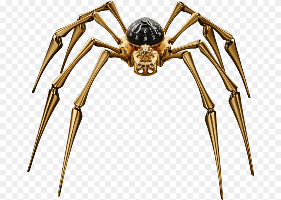 Telling The Time With Two Hands And Eight Legs Clock Spider, Animal, Invertebrate Free Png Download
