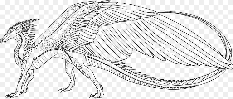 Tempestwings Wof, Gray Free Transparent Png