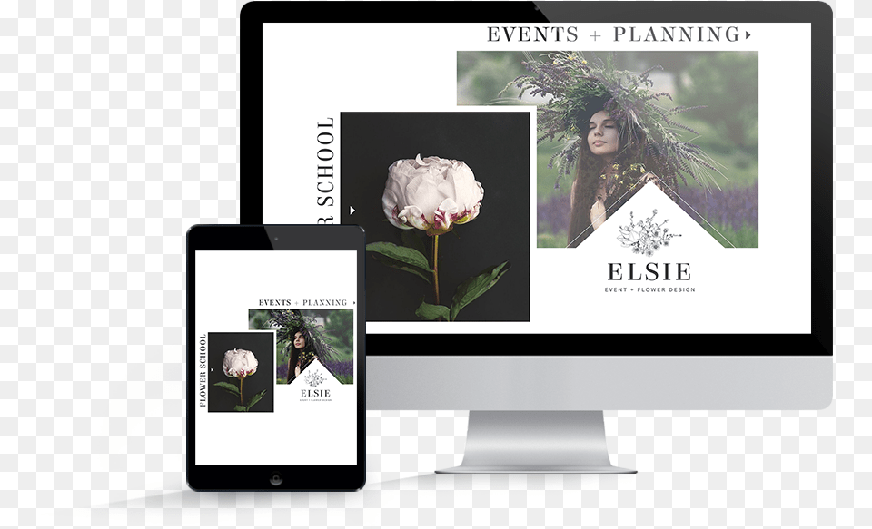 Templates Web Design, Rose, Plant, Flower, Art Png Image