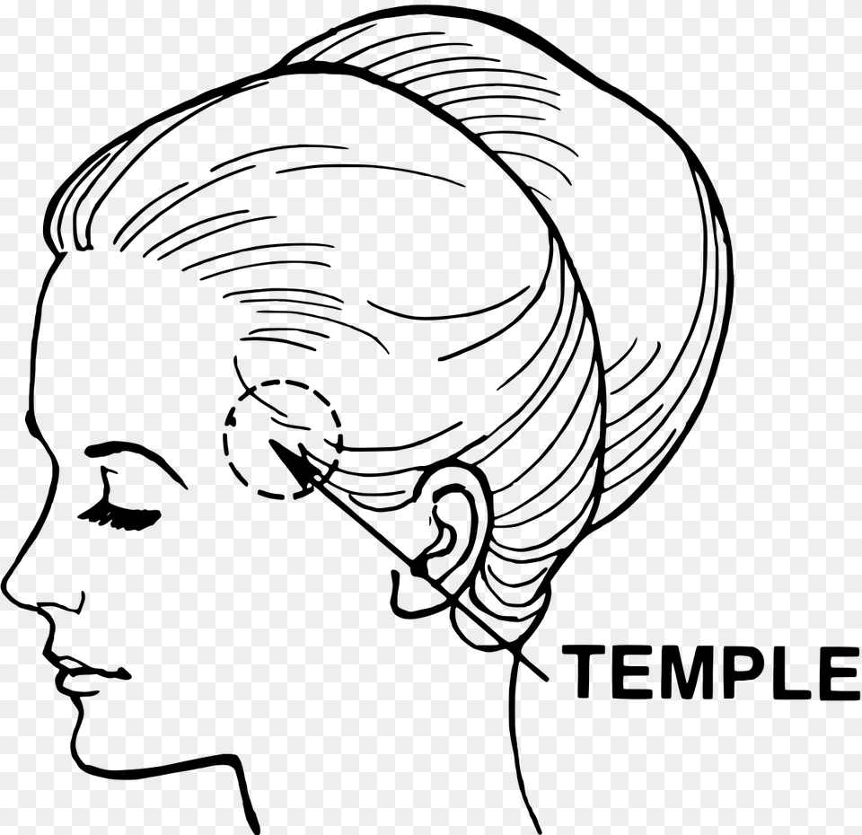 Temple Anatomy, Gray Png