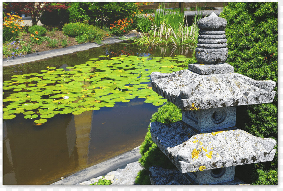 Temple Garden Pagoda Canvas Wall Art Fish Pond, Nature, Outdoors, Water, Flower Png Image