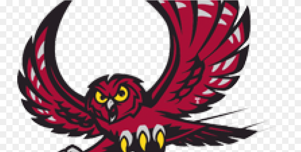 Temple Owls Itokww1q44wo Temple Owl, Baby, Person Free Png Download