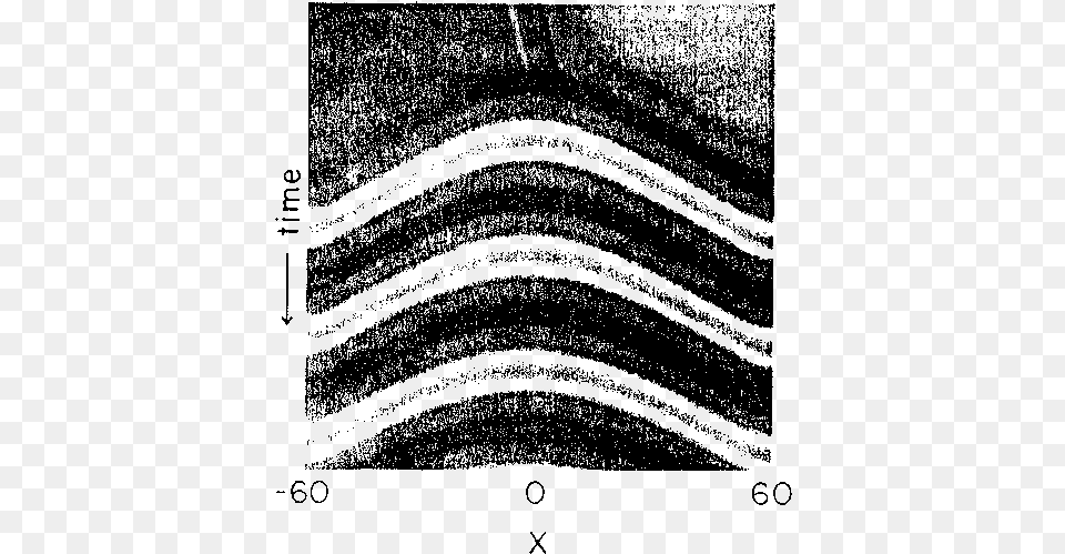 Temporal Evolution Of The Solution Monochrome, Gray Free Png