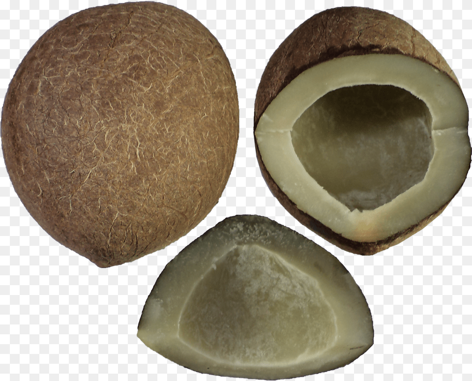 Tender Fresh Coconuts Copra, Food, Fruit, Plant, Produce Free Png Download