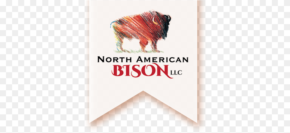 Tenderbison Bison, Book, Publication, Animal, Buffalo Free Transparent Png