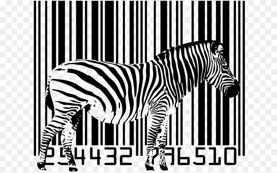 Tener En Cuenta El Para No Perder Nuestro Cdigo Zebra Barcode, Animal, Wildlife, Mammal, Dinosaur Png Image