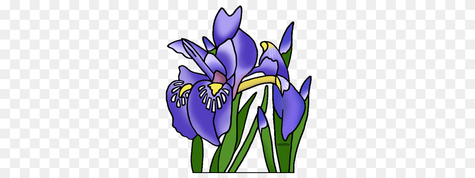 Tennessee Clip Art, Flower, Iris, Plant, Purple Free Png