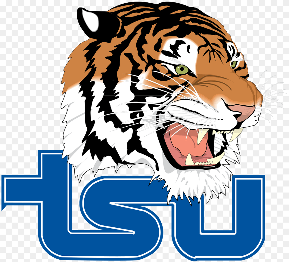 Tennessee State Tigers And Lady Tigers, Animal, Mammal, Tiger, Wildlife Free Transparent Png