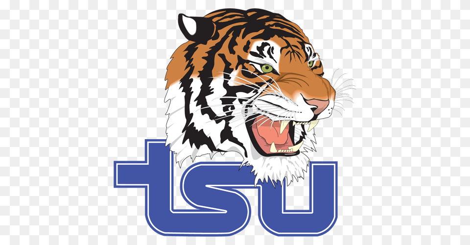 Tennessee State Tigers Schedule, Animal, Mammal, Tiger, Wildlife Png