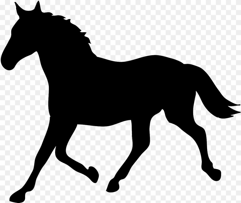 Tennessee Walking Horse Silhouette Equestrian Horse Silhouette Horse Clipart, Animal, Mammal, Colt Horse Free Png Download