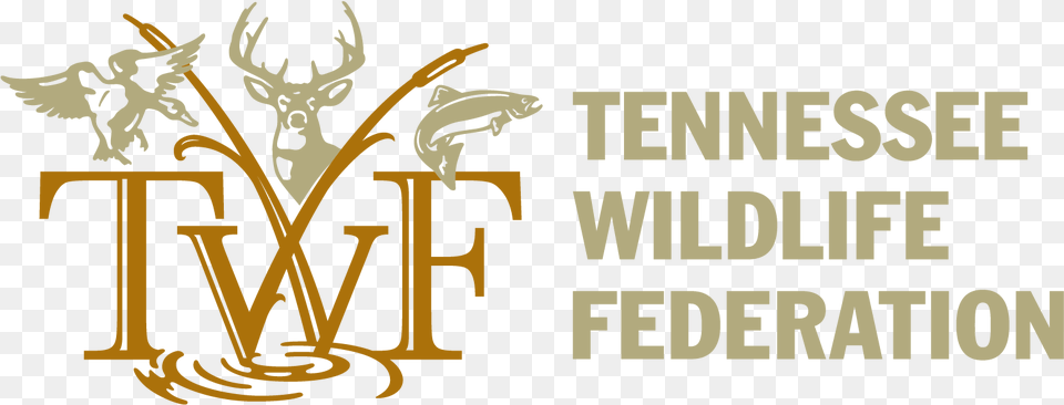 Tennessee Wildlife Federation, Person, Animal, Fish, Sea Life Png Image