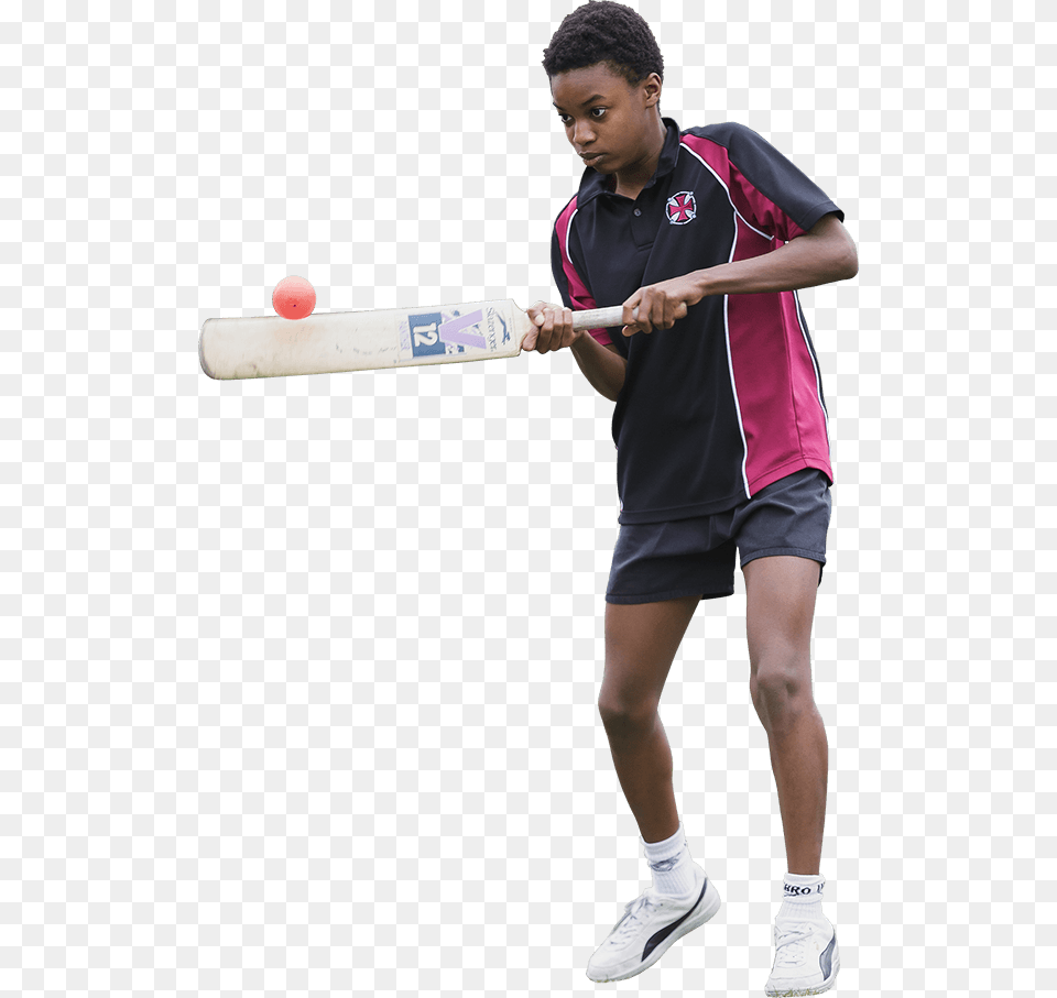 Tennis Player, Boy, Cricket, Cricket Bat, Male Free Png Download