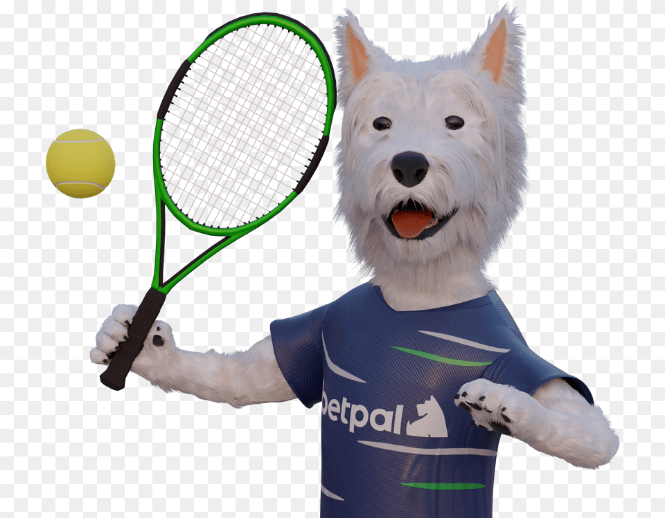 Tennis Racket, Tennis Racket, Ball, Tennis Ball, Sport Free Png