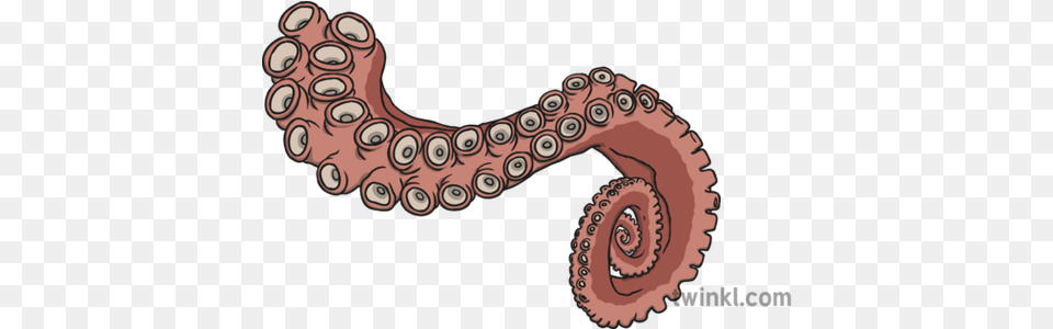 Tentacle Illustration Twinkl Earthworm, Animal, Invertebrate, Octopus, Sea Life Free Transparent Png