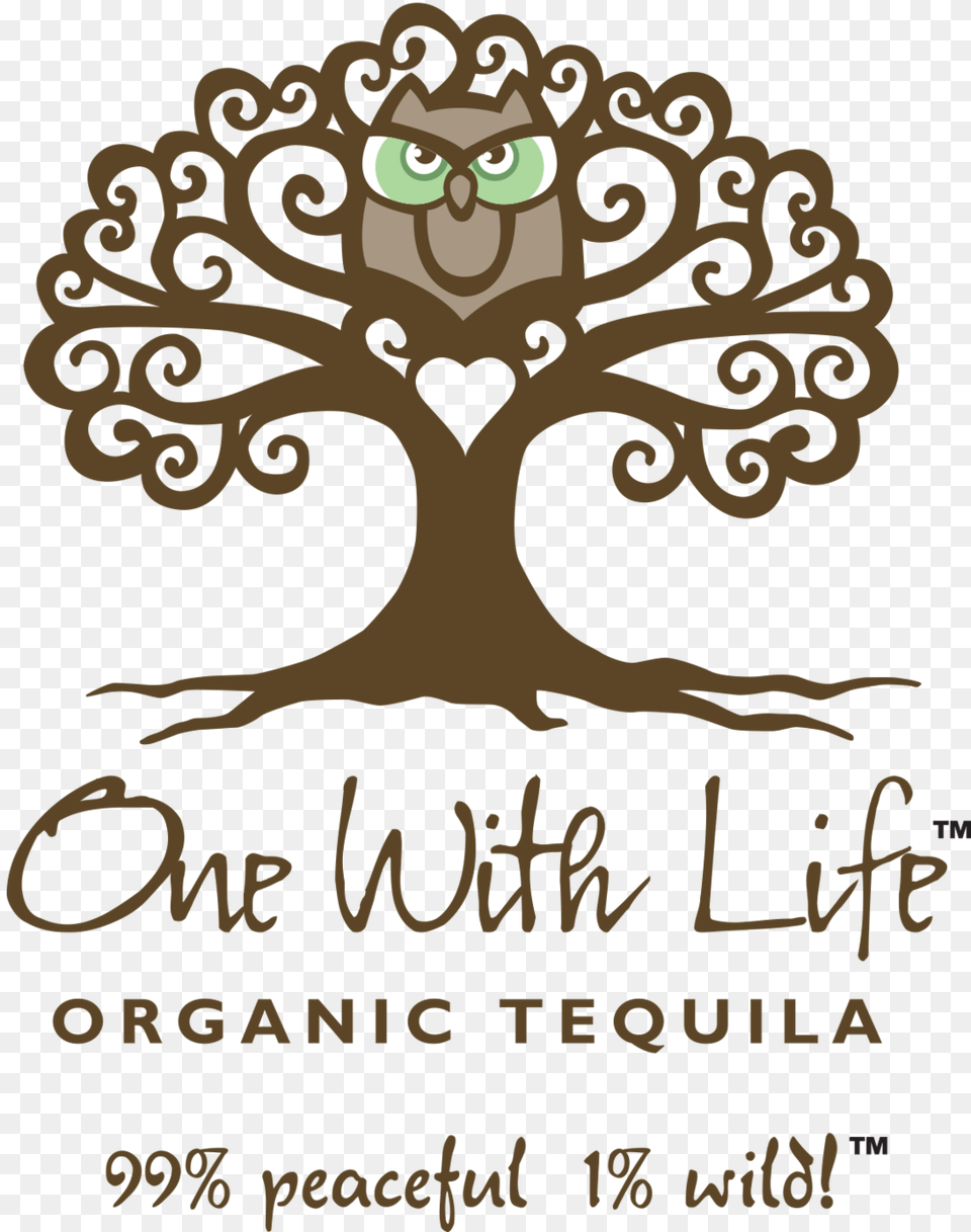 Tequila Shots, Advertisement, Person, Poster Free Png Download