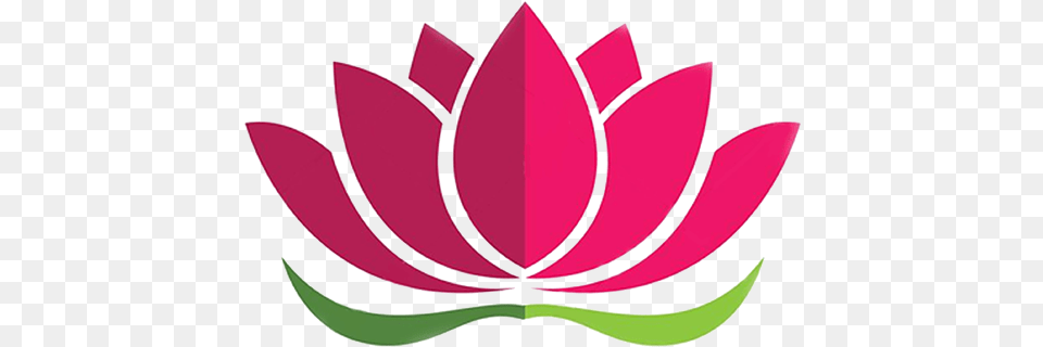 Terapia Prin Meditatie Apps En Google Play Language, Plant, Petal, Dahlia, Leaf Png Image