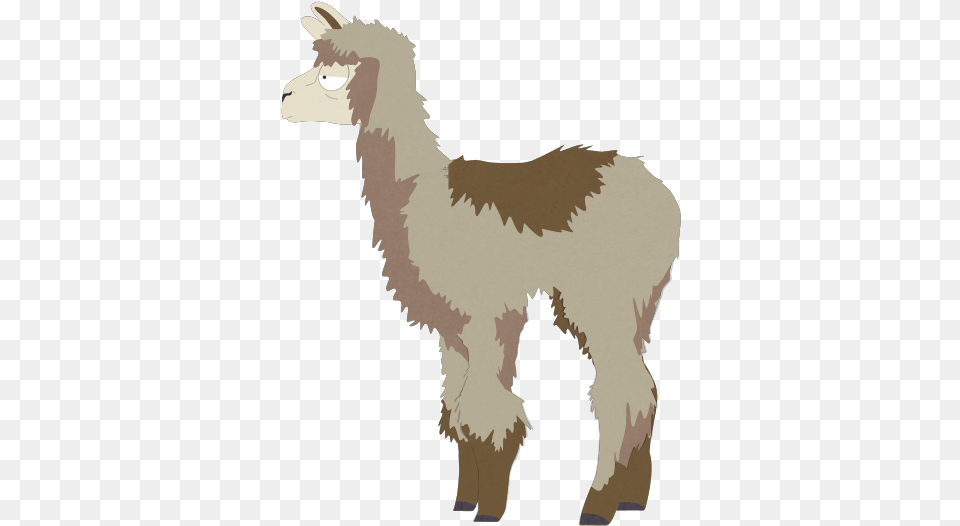 Teresa Llama Llama, Animal, Mammal, Adult, Female Free Png