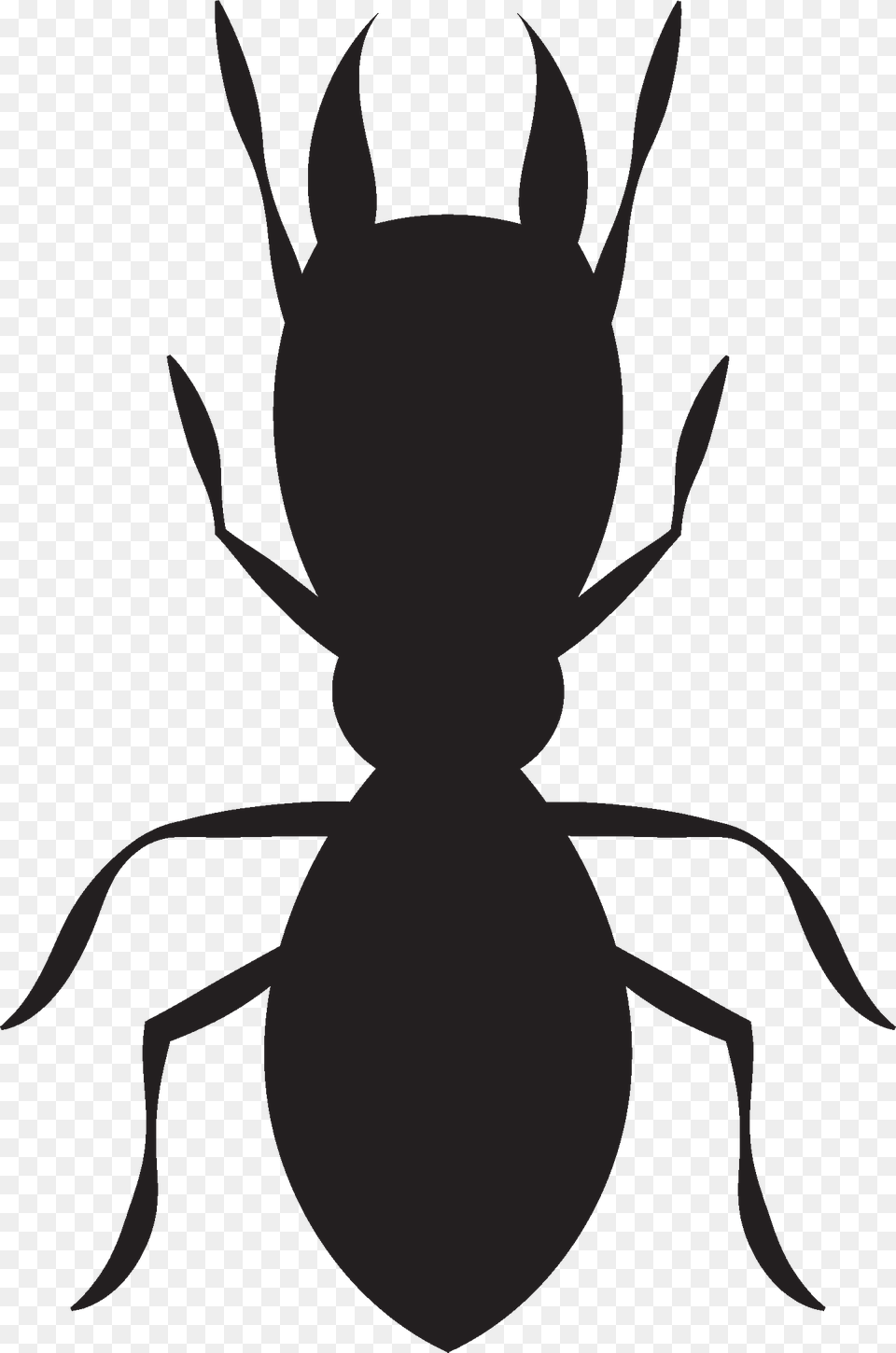 Termite, Animal, Ant, Insect, Invertebrate Png