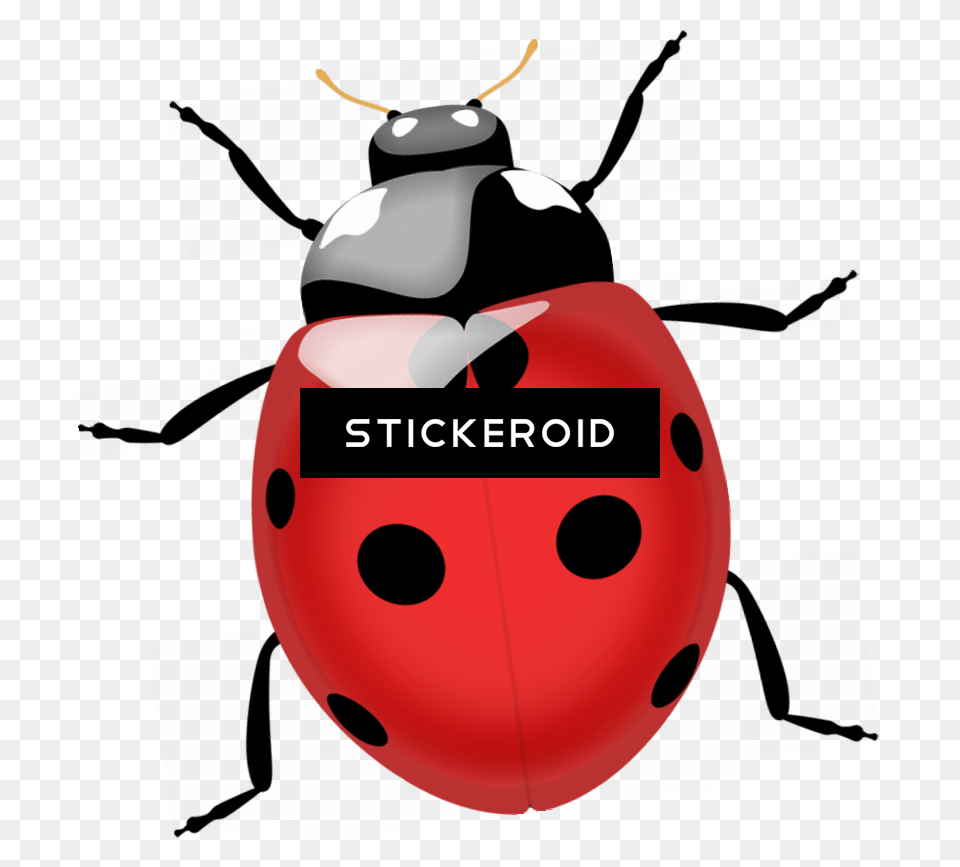 Termite Bugs Insects Coccinella, Bulldozer, Machine Free Png